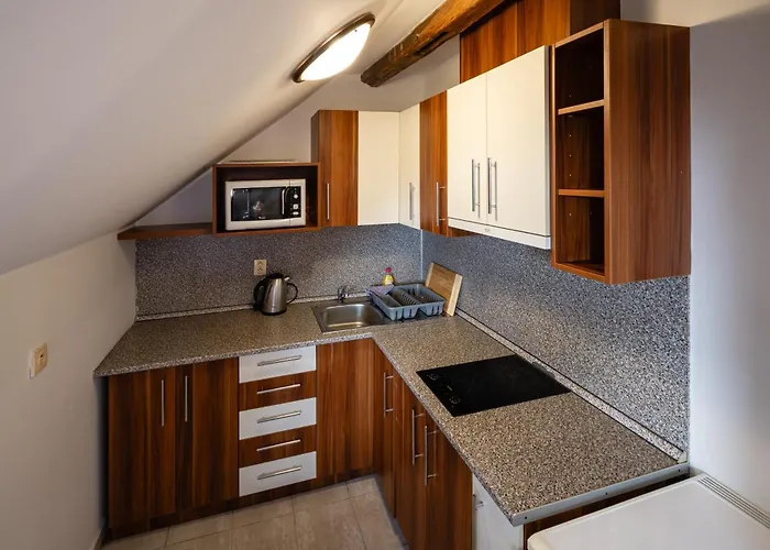 Värdshus U Holuba